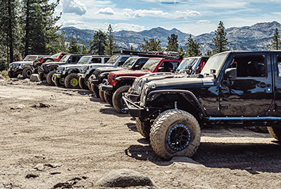 PRO EAGLE SAVES - THE RUBICON TRAIL